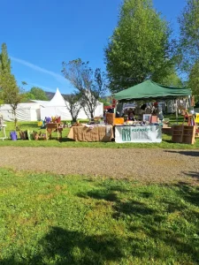 proyeccion-comunitaria-6